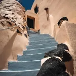 Vineyart Homes Nyaraló