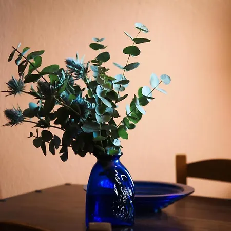 Vineyart Homes 펜션 이아