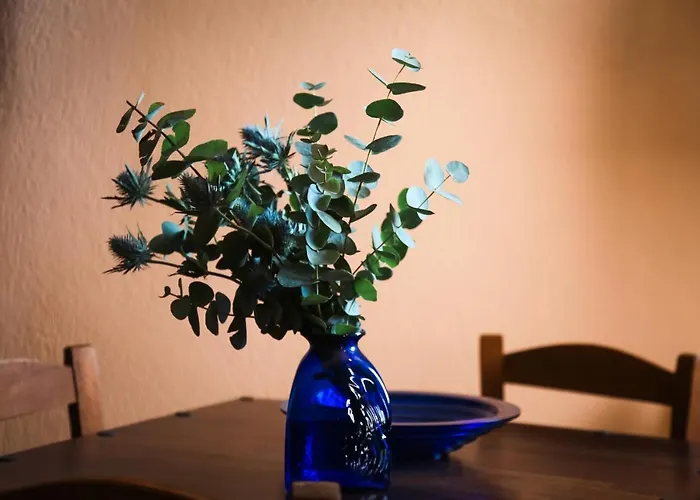 Vineyart Homes 펜션 이아